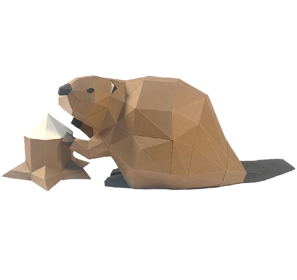 Beaver Kit