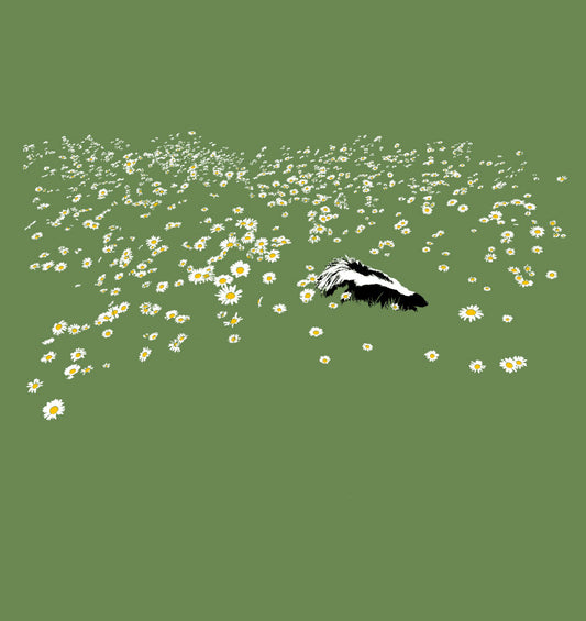 Skunk