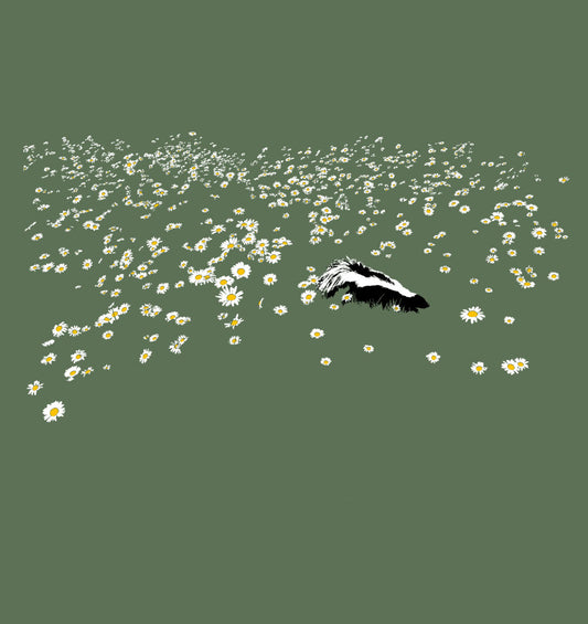Skunk