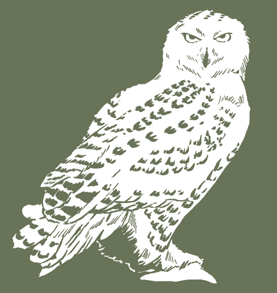 Snowy Owl (hoodie)