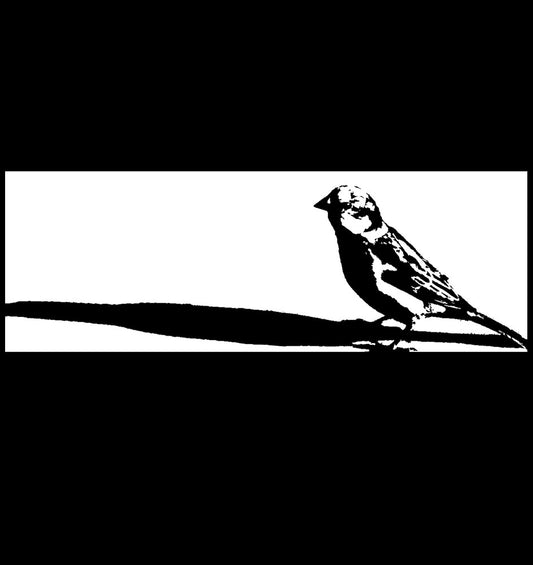 Moineau