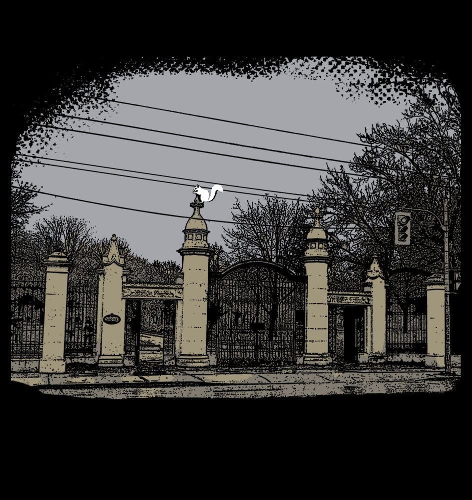 The White Squirrel of Trinity Bellwoods