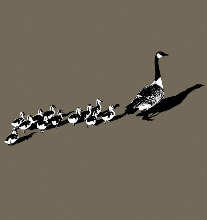 Canada Geese