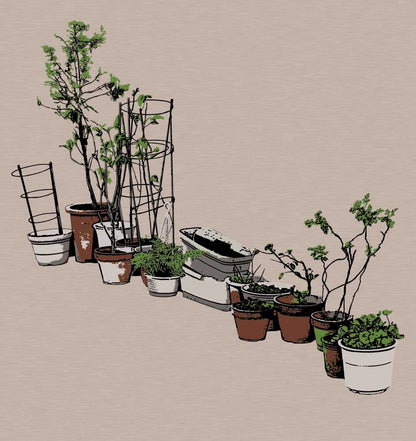 Horticulture 3 et demi