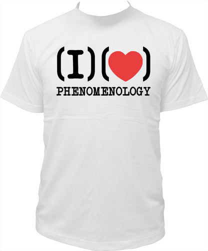 I ( ) Phenomenology - tresnormale - 2
