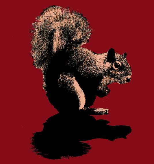 Squirrel (kids)